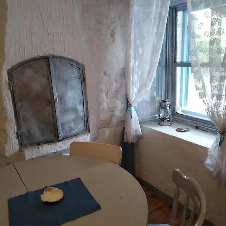 Ammonite 普莱曼图拉