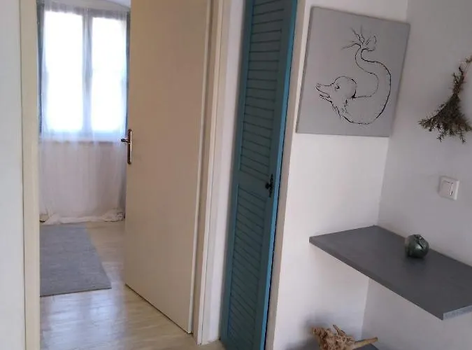 Ammonite Apartman Premantura
