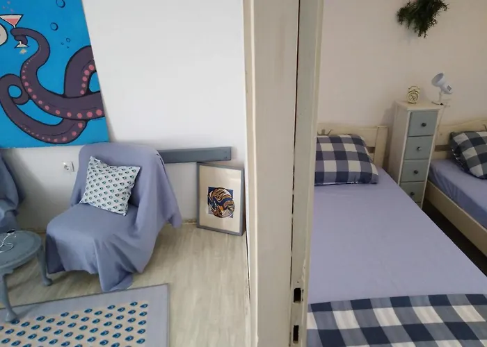 Ammonite * Premantura