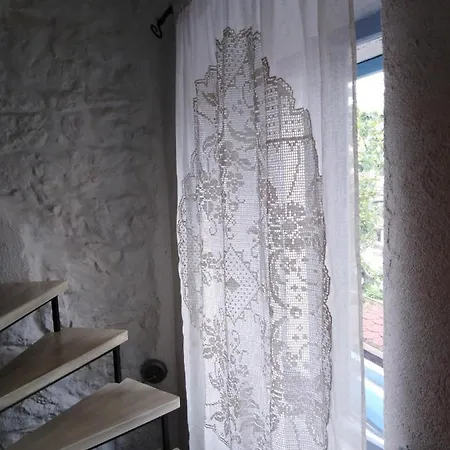 Ammonite Daire Premantura