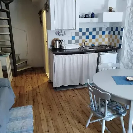Apartment Ammonite *