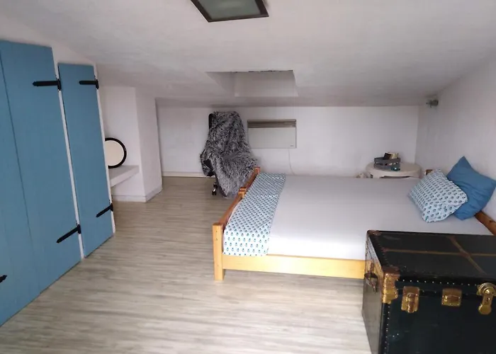 Apartament Ammonite *